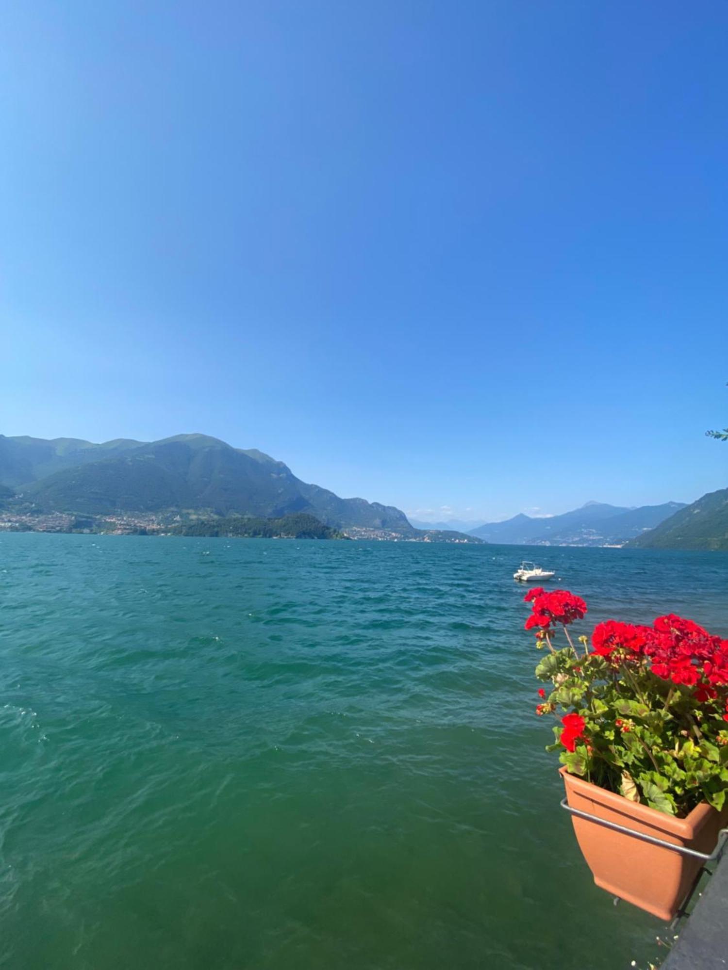Peonia Apartment - Appartamento Vista Lago Lezzeno Buitenkant foto