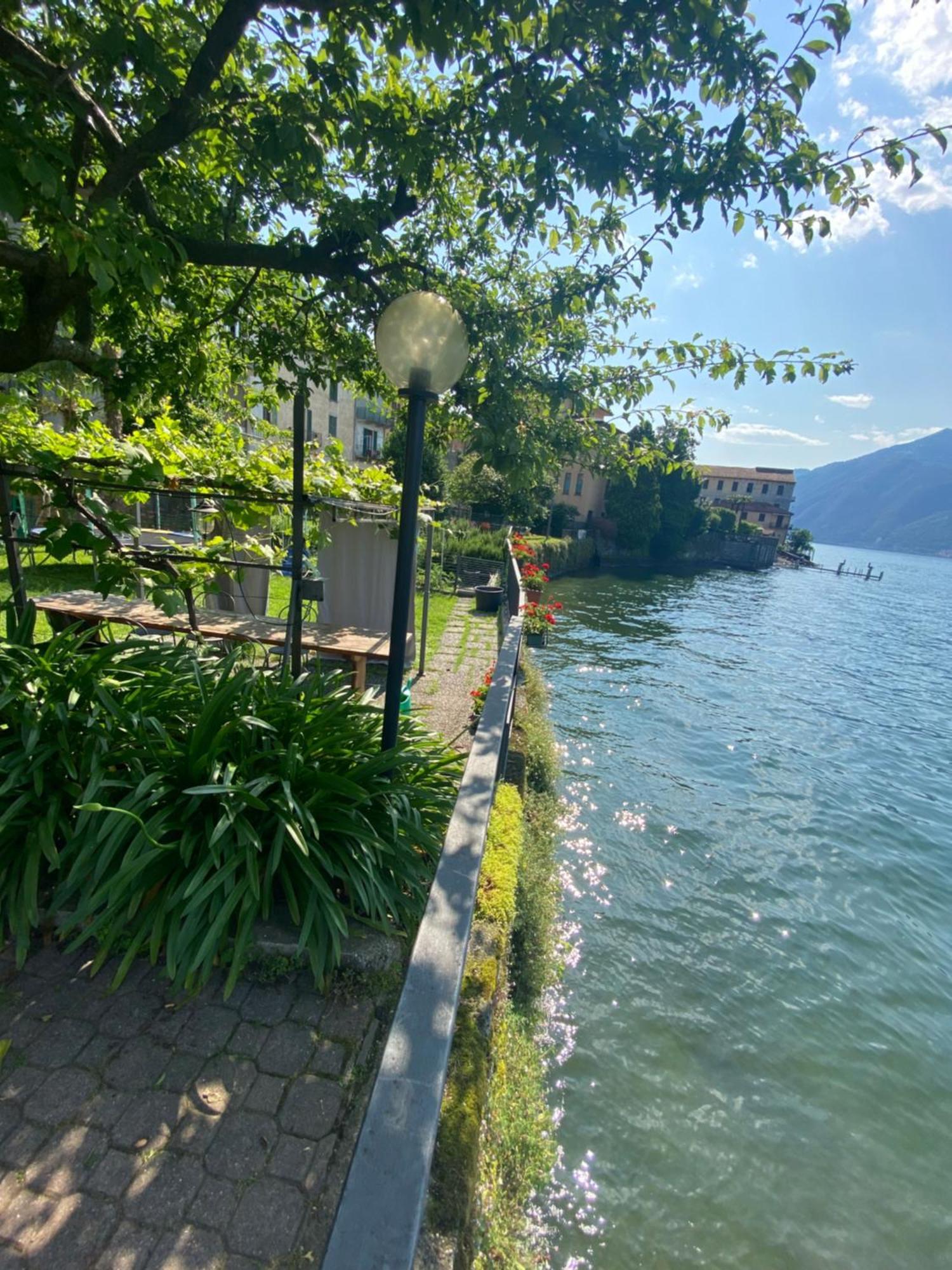 Peonia Apartment - Appartamento Vista Lago Lezzeno Buitenkant foto