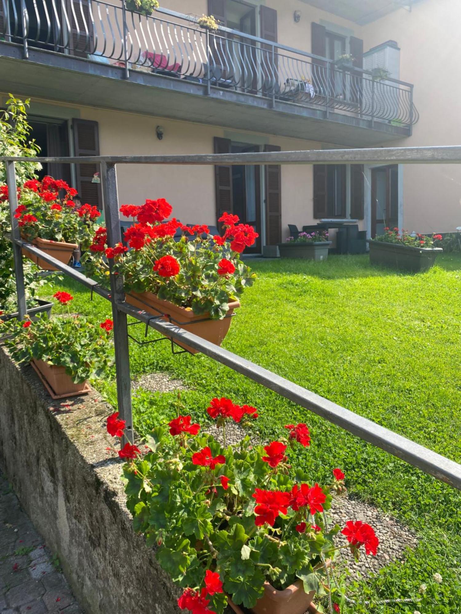 Peonia Apartment - Appartamento Vista Lago Lezzeno Buitenkant foto