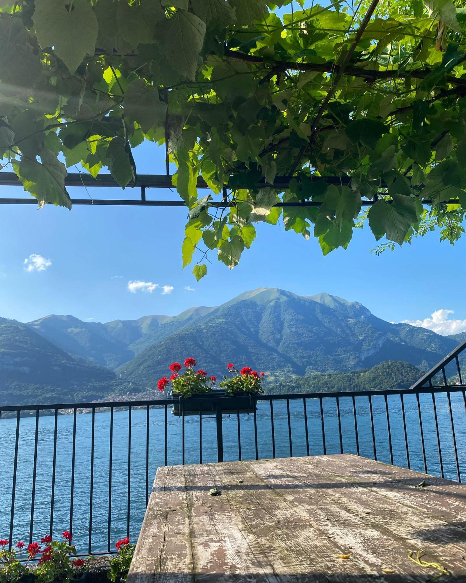 Peonia Apartment - Appartamento Vista Lago Lezzeno Buitenkant foto