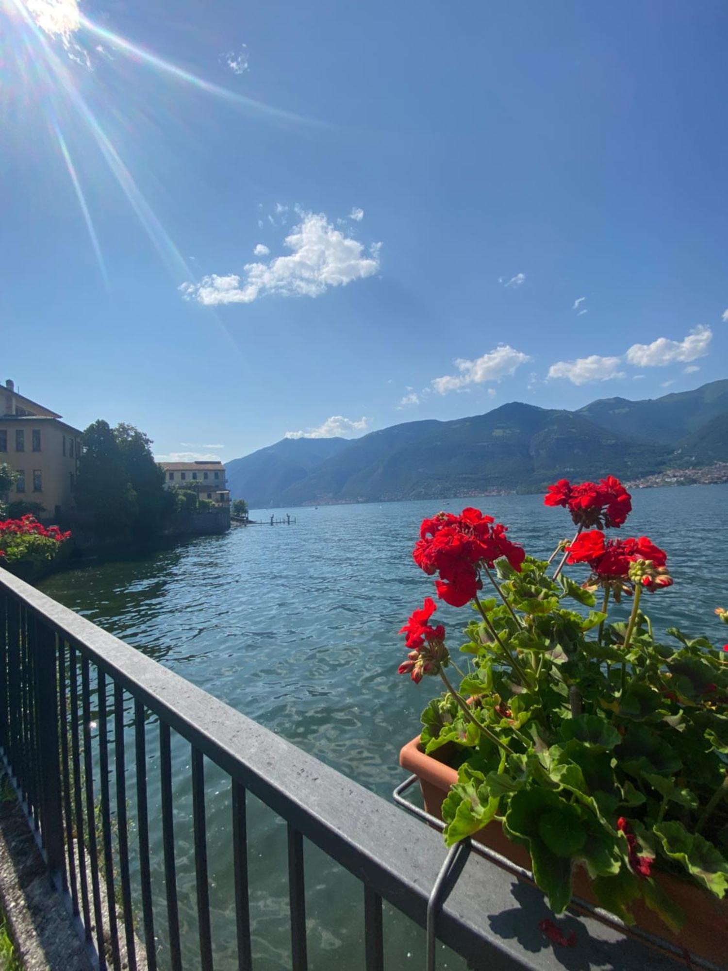 Peonia Apartment - Appartamento Vista Lago Lezzeno Buitenkant foto