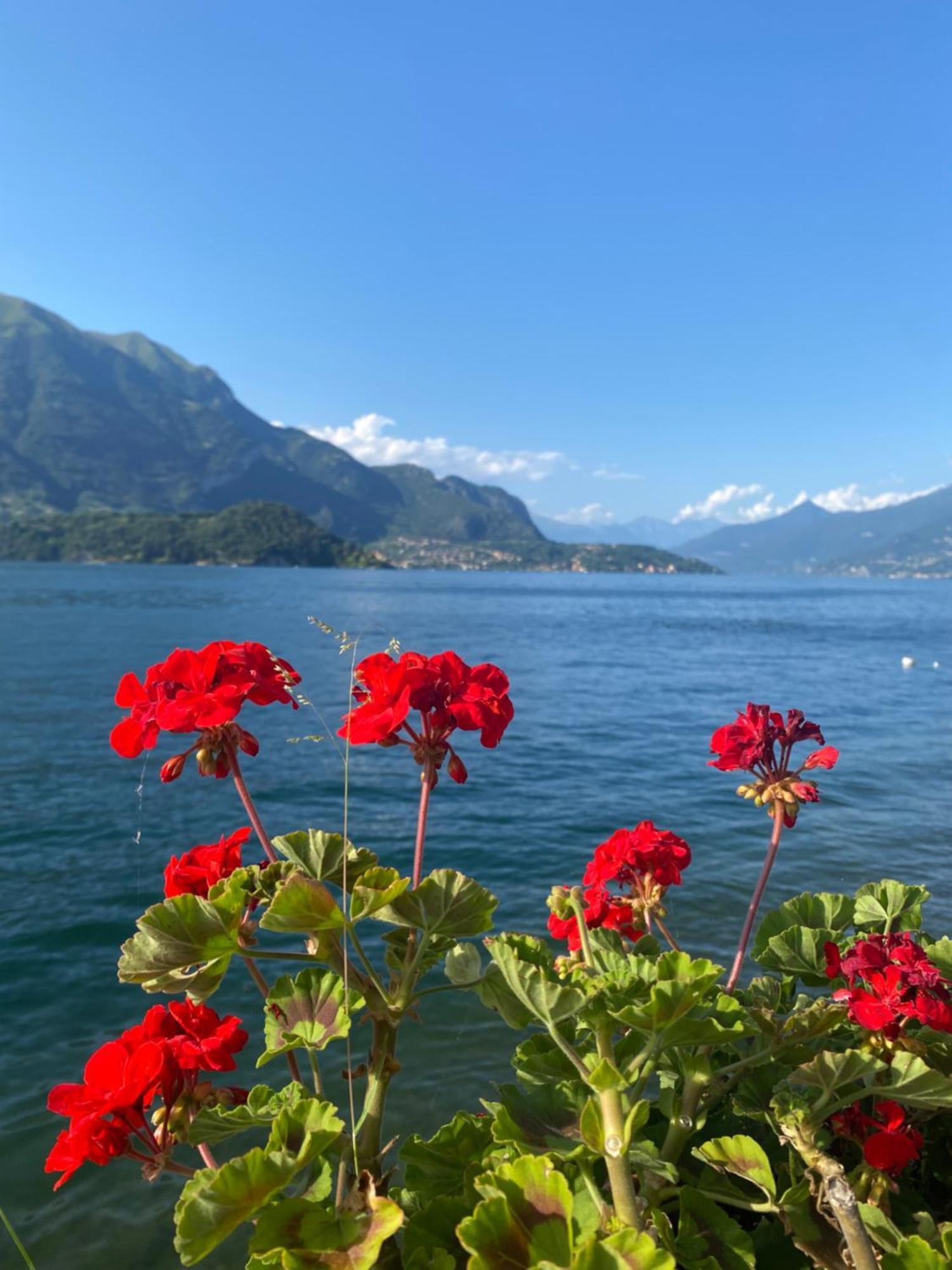 Peonia Apartment - Appartamento Vista Lago Lezzeno Buitenkant foto